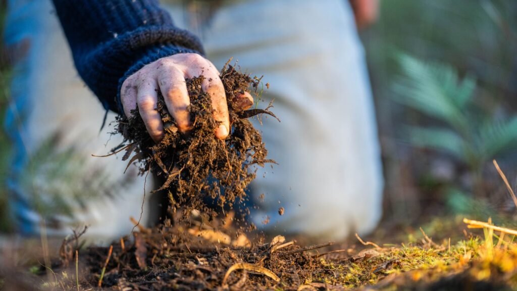 Microganisms-Plants-feed