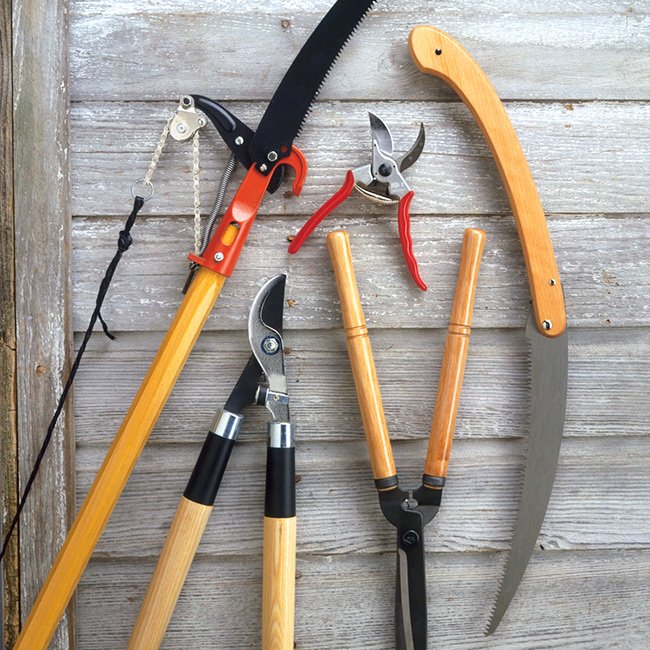 Pruning-tools-lead