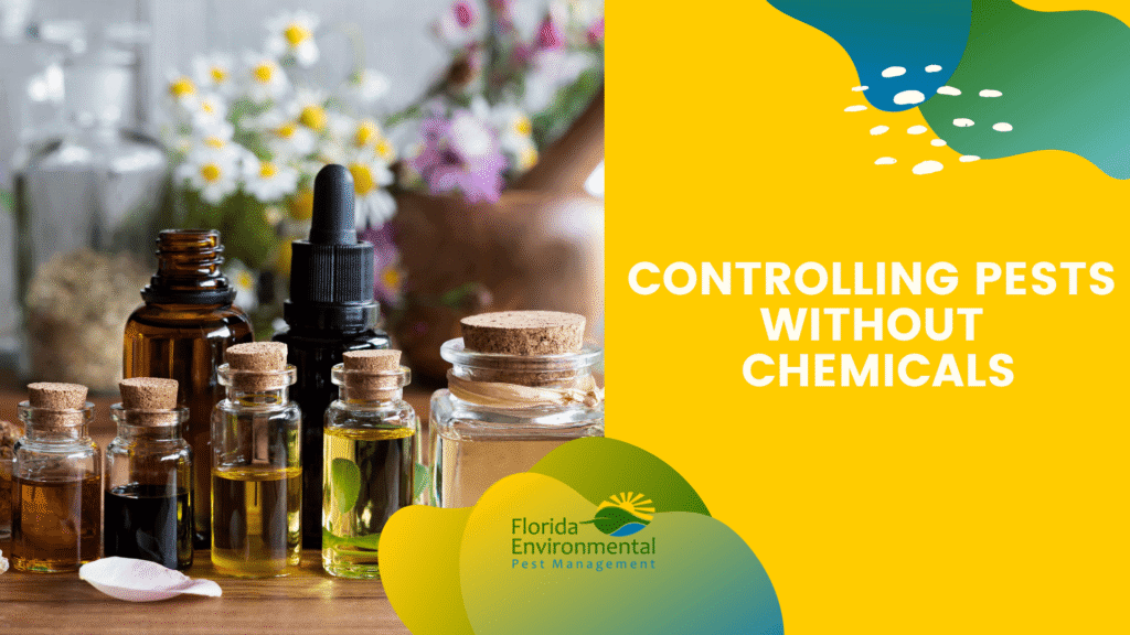 controlling-pests-without-chemicals
