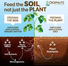 feed soil