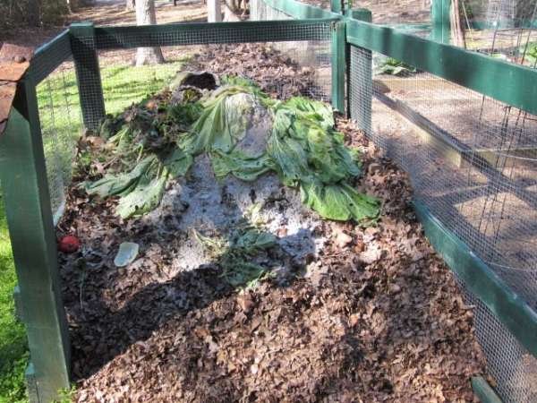 lazy-composting