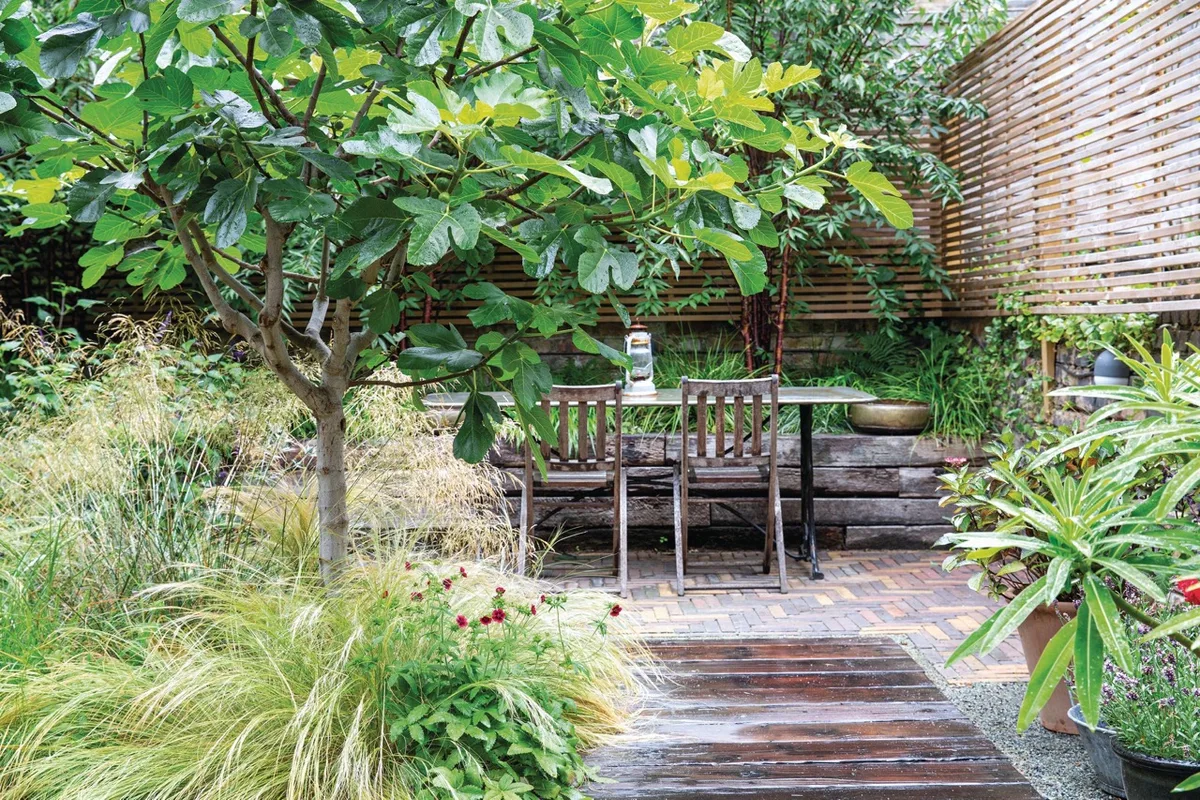 Home Gardening Ideas