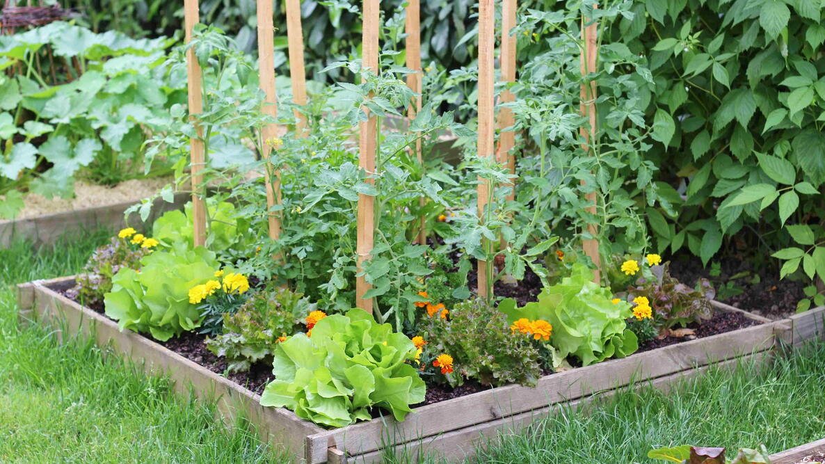 Proven Home Gardening Methods