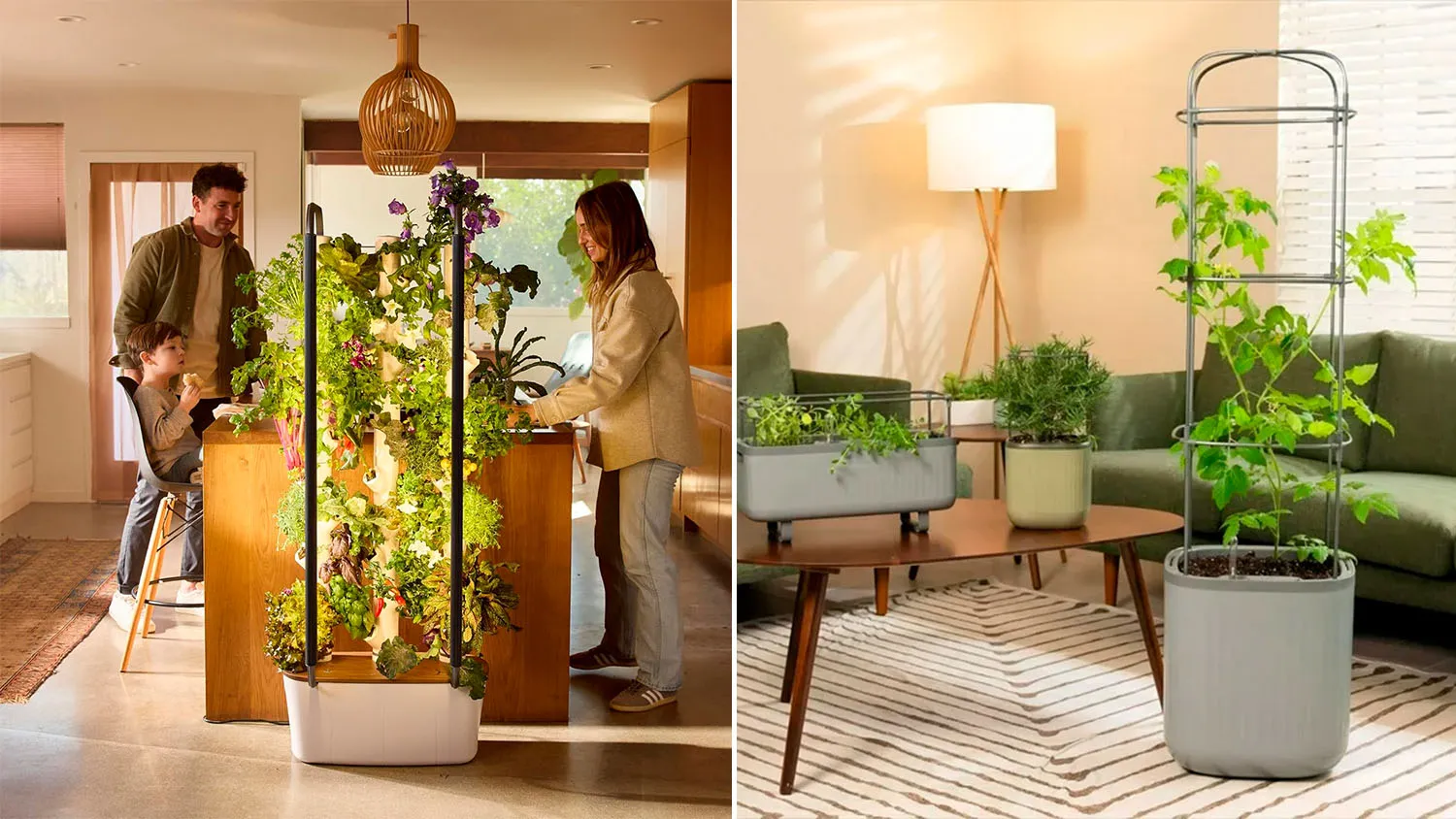 Smart Home Gardening Tips for Small Spaces